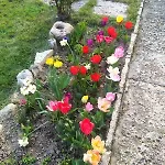 Casa Del Grey * Balchik