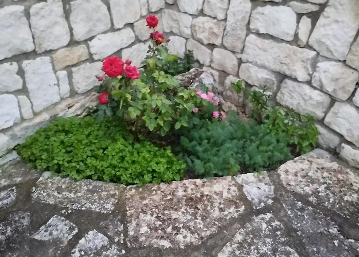 Casa Del Grey * Balchik