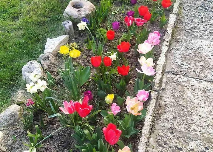 Casa Del Grey * Balchik